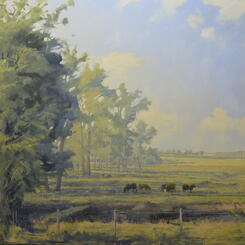 Pipe Creek Pasture  2014