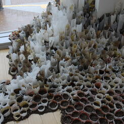 Subtle Disturbance detail 3