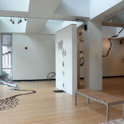 Subtle Disturbance Montgomery College Takoma Park