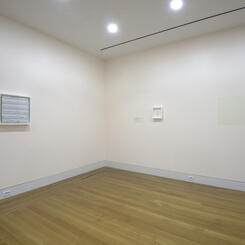 Untitled Studies in Lead-Based Paint, Installation View