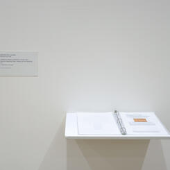 Untitled (A Collection of Attempts to Answer Open Questions Regarding Origin, Integrity, and Site Specificity)