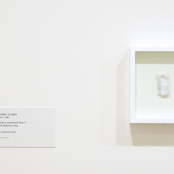 Untitled Study in Lead-based Paint II (Positive Risk Reduction Test)