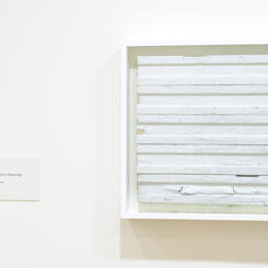 Untitled Study in Lead-based Paint IV (Alligatoring)