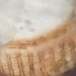 Effects of fire and copper on surface