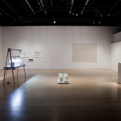 Installation View: In Defense of Native Soil