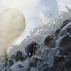 Abstraction:  11.11.34