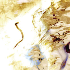 Abstraction:  2.23.16