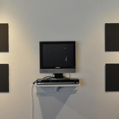 After Muybridge, After Marey - installed