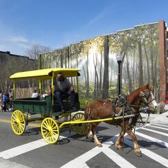 arabber in Penn-North