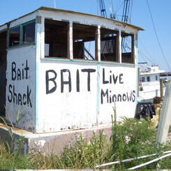 Bait Shack, Chincoteague, VA