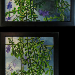 Violets Beget Violets