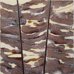 bark study 2