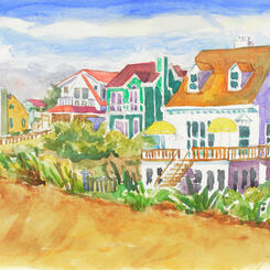 Beach Houses First Year