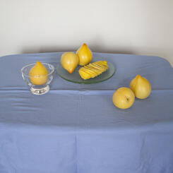 braslavsky_stilllife_plums_web.jpg