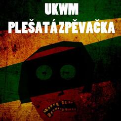 brno-flyer.jpg