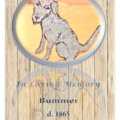 Funeral Program, Death of Bummer