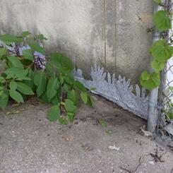 Detail of installation for Axis Alley