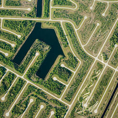Near Rotonda, Florida, 2009