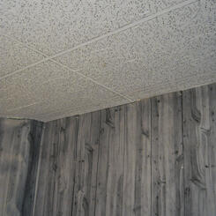 ceilingtile,paneling5