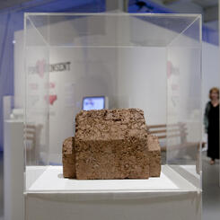 Model Home (Earth, Model VII)