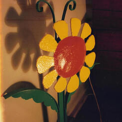 color-flower.jpg