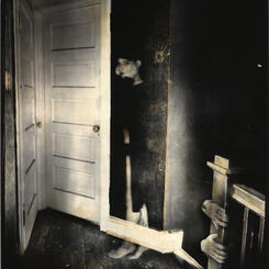 Cornered