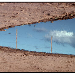 Corralled in Cerillos