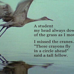 a still frame from Immortal Cupboard