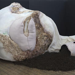 Tributaries and Desert