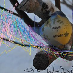 Believe in Miracles #2