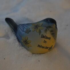 Believe in Miracles #1