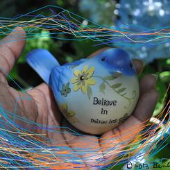 Believe in Miracles #5