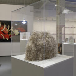 Model Home (Dandelion III)