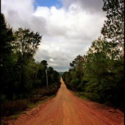 Gee's Bend, Image No. 26, The Road To Paradise