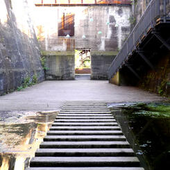 every step goes a long way