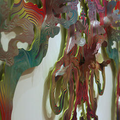 Greater Black Astral Dripper, 2013