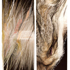 diptych: meet the darkness