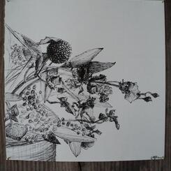 Still Life, Baltimore