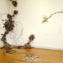 Cause and Effect Goucher College