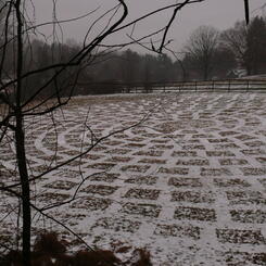 Baldwin Geotrope #2 still image