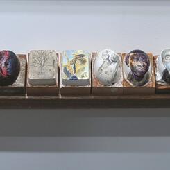 Egg Shelf Compendium