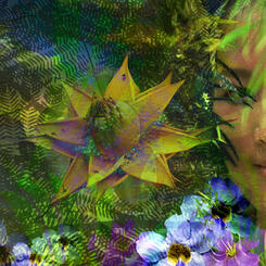 Singapore: Exotic garden