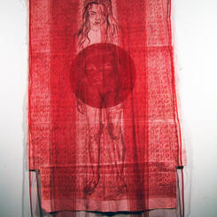 Exile Freedom seires