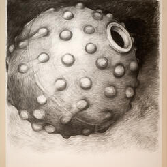 Fetch 2009 65x50” charcoal, paper