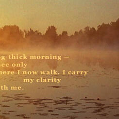 a still frame from Immortal Cupboard: In Search of Lorine Niedecker