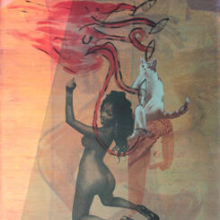 Sexecution Series (Feline and Woman)