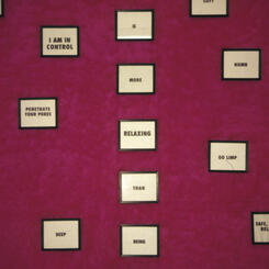 Fugue Chamber for Amnesiacs