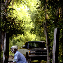 Gee's Bend Image No. 40, Daniel Nicholson