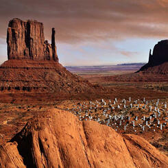 Desert Cubes Geotrope, visualization still