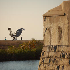 Giant  Key West  Chicken